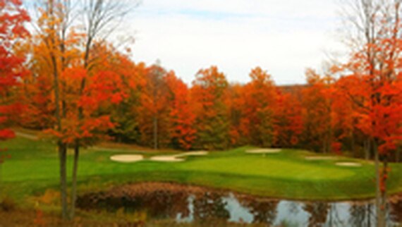 End of Summer Does Not Mean the End of BirdieBall Time