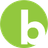 BirdieBall logo