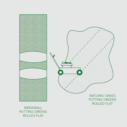 Diagram comparing the BirdieBall Indoor Putting Green - Classic Depth Putting Mat, which rolls flat for realistic play, to natural grass greens—both shown rolled flat, with a lawn mower illustration on the grass. Starting at $90.